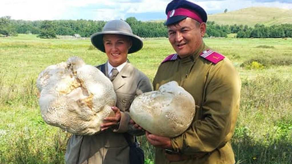 Артур Идельбаев, Fb